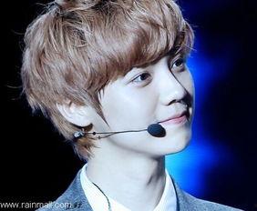 鹿晗爆料韩国人视频在线观看,韩国人真实生活片段曝光，网友直呼震撼  第2张