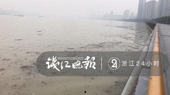 记者爆料钱塘江视频,揭秘事件背后惊人真相  第2张